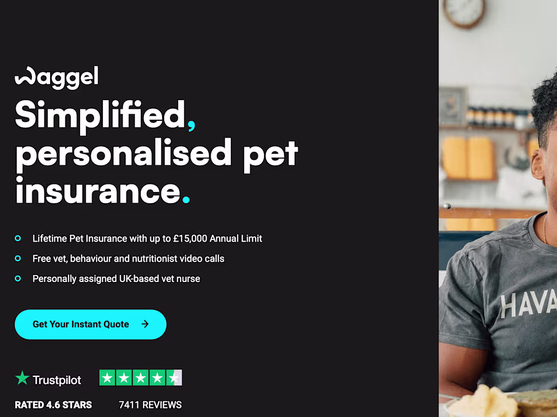 Cover image for Waggel