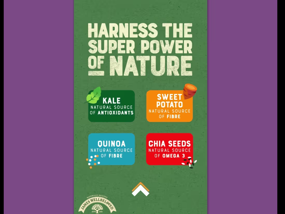 Cover image for Social media advertisement for dog food