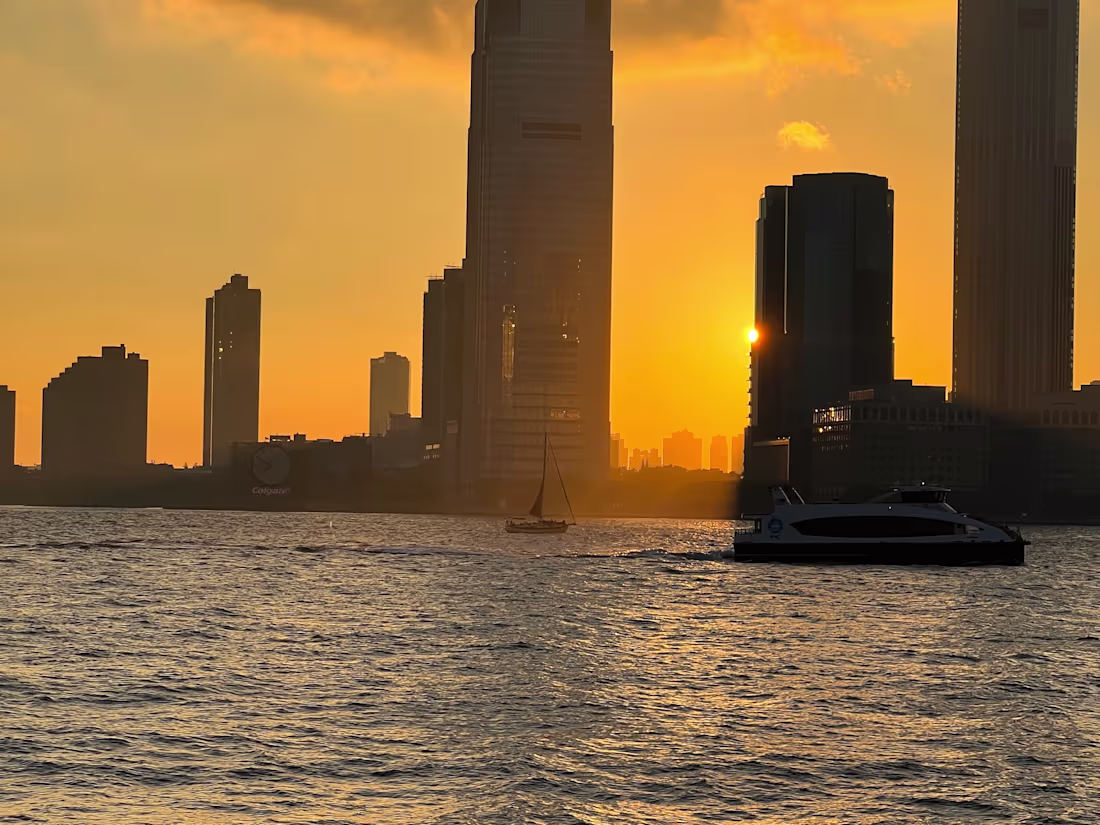 Cover image for Startup business plan analysis 