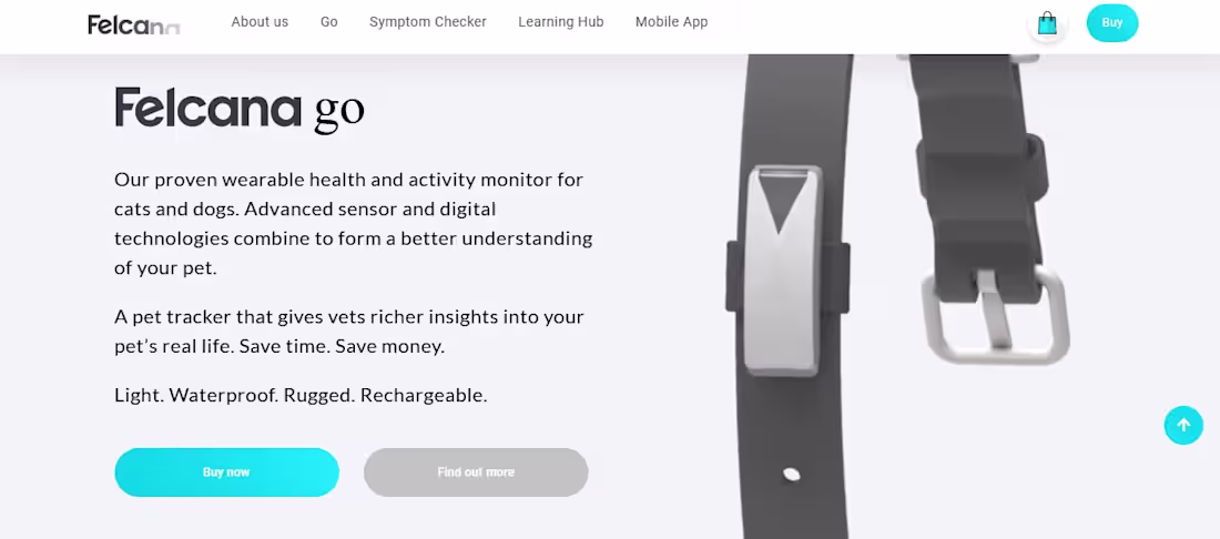 Cover image for 𝗙𝗲𝗹𝗰𝗮𝗻𝗮 | React | JavaScript | Next.js | Node.js | Py...