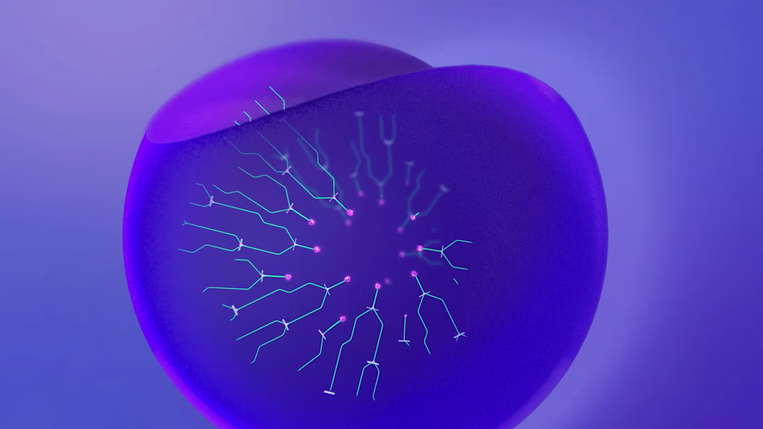 Cover image for In2Sight Teaser Video