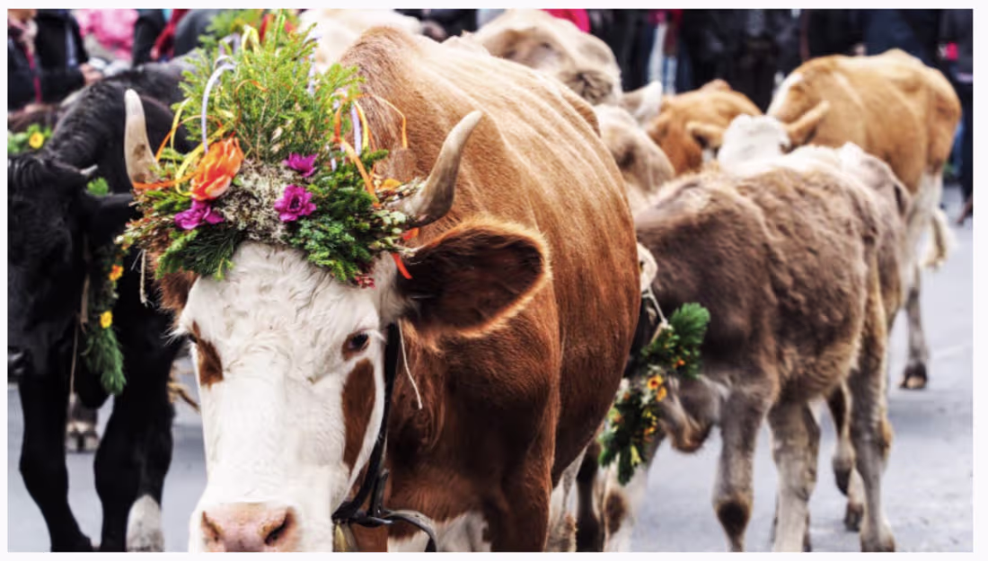 Cover image for Client / Publication: Spas of Europe (published feature)