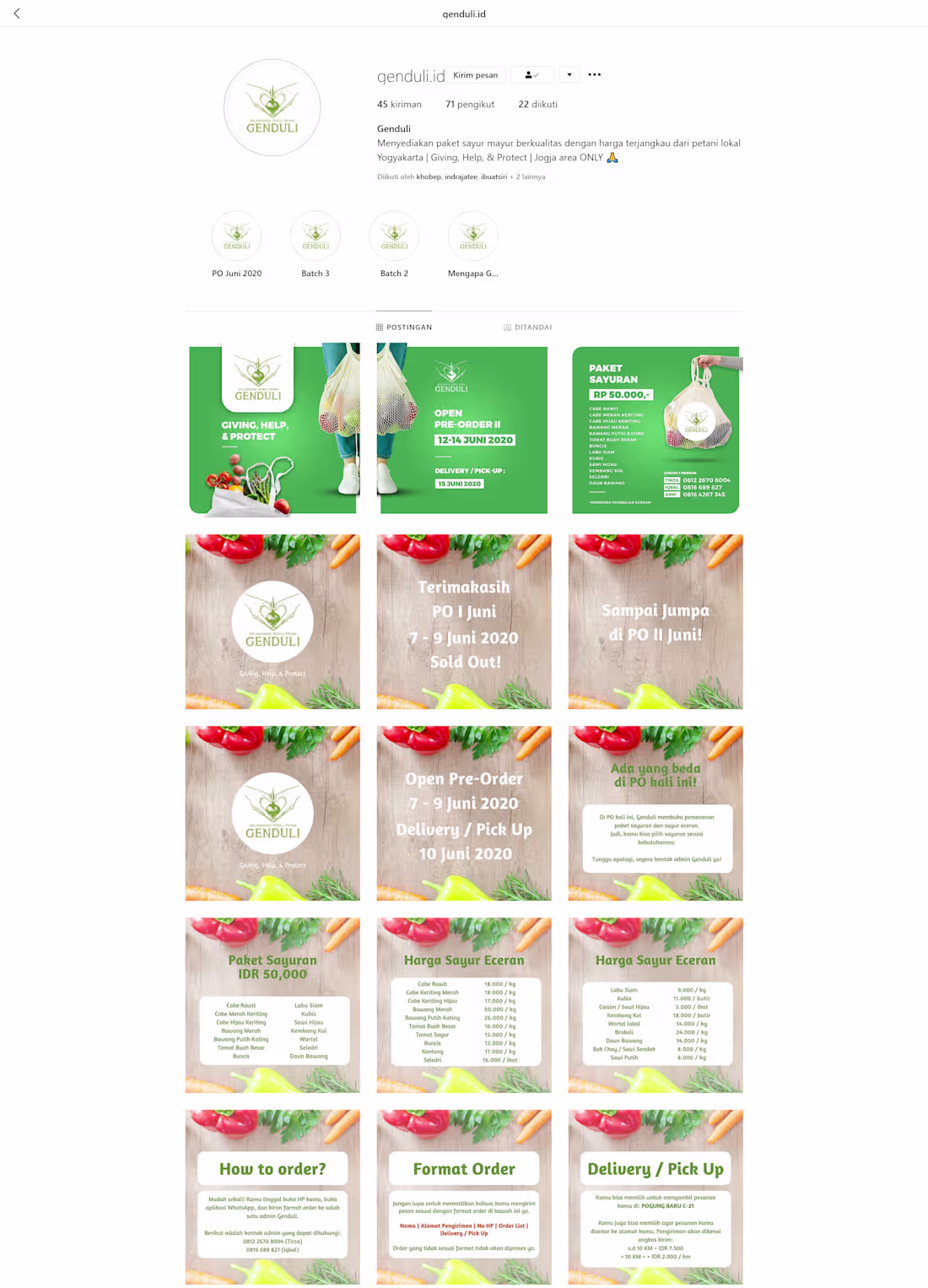 Cover image for Genduli