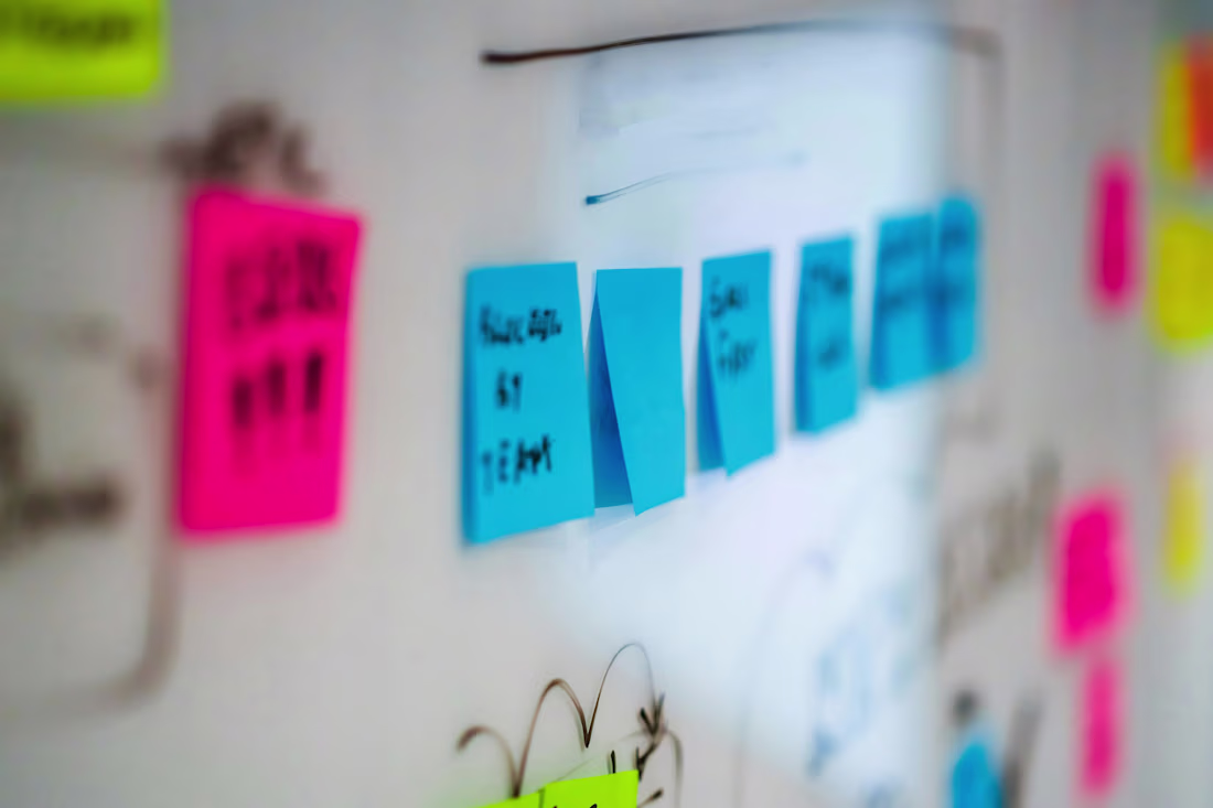 Cover image for Business Project Management