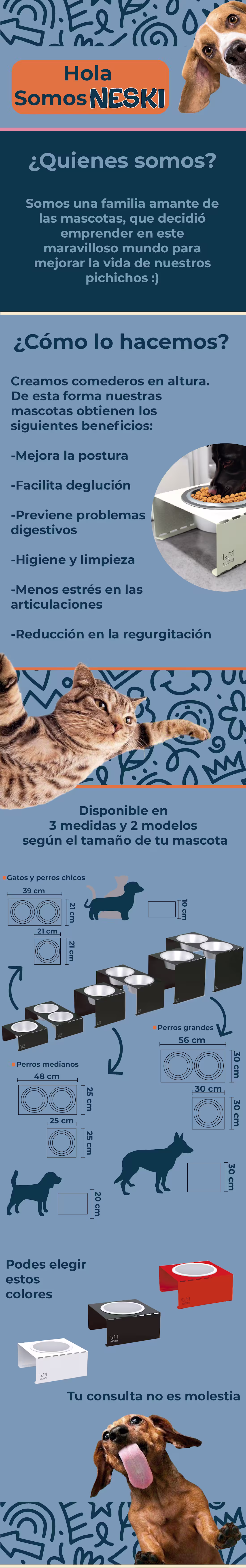 Cover image for Visual Identity & Curated Catalogue: The Modern Pet Home Whe...