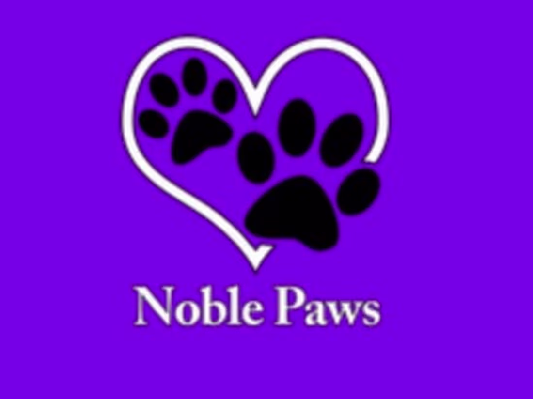 Cover image for Re-Designing a Nonprofit's Website, for Support NoblePaws