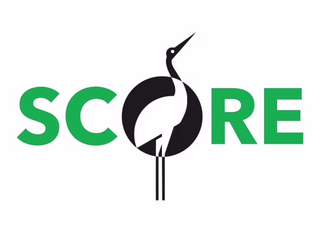 Cover image for Designed a website for financial guru