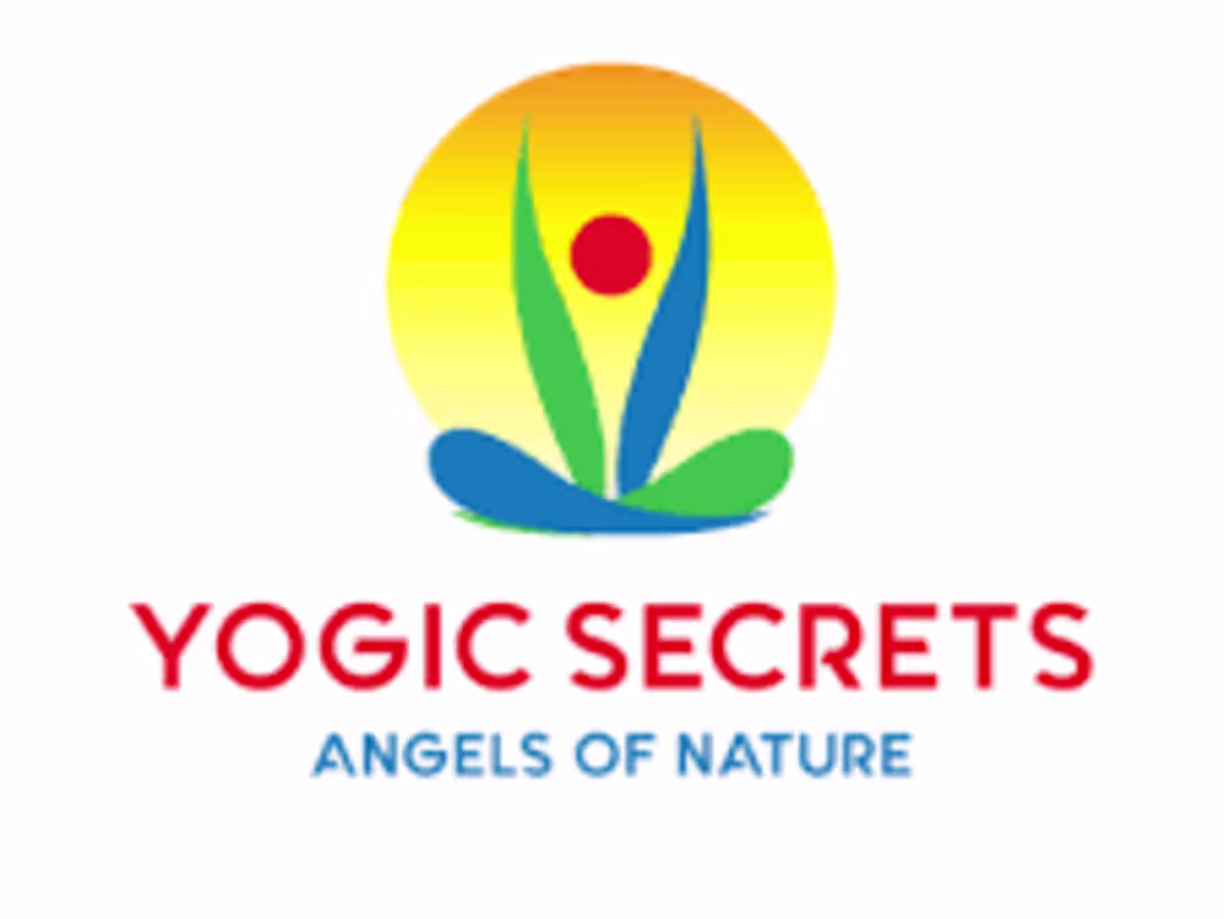 Cover image for E-Commerce Success for Yogic Secrets