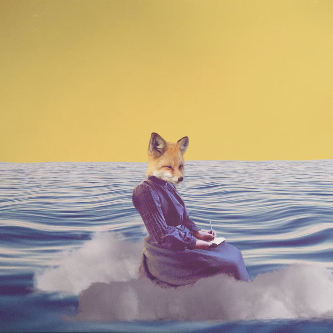 Cover image for 2D Animation