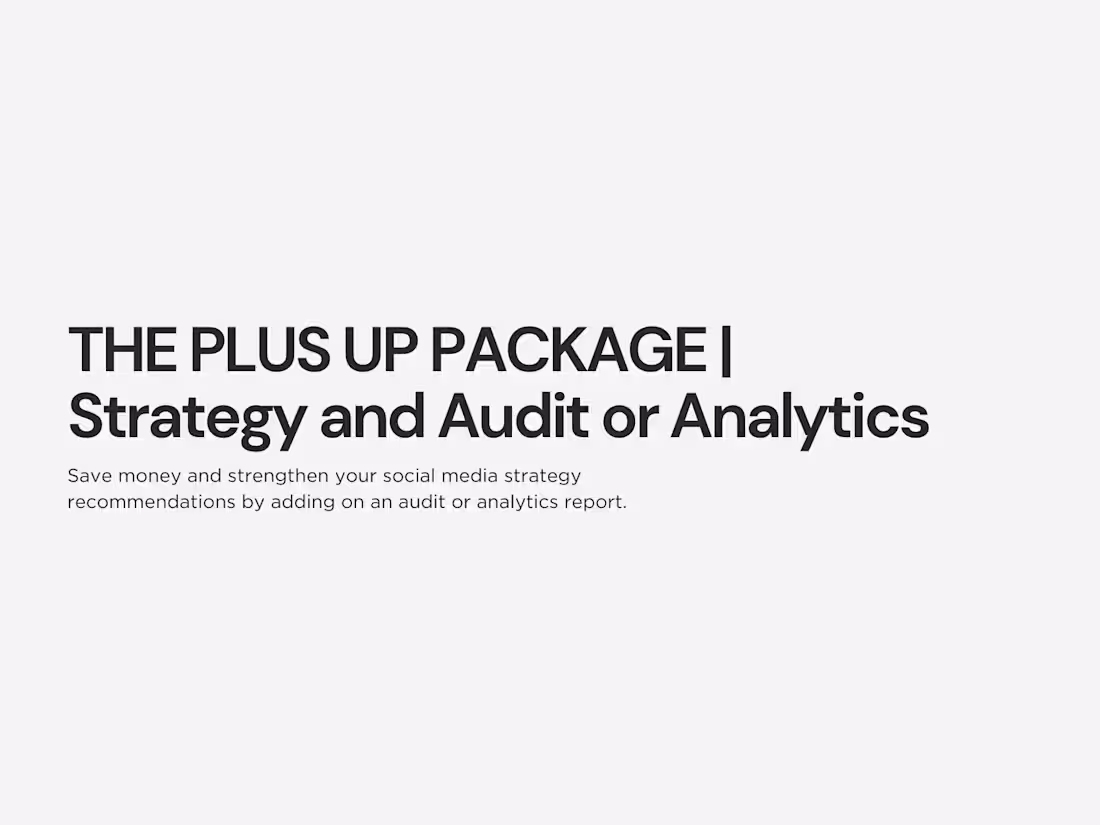 Cover image for The Plus Up Package | Strategy And Audit OR Analytics