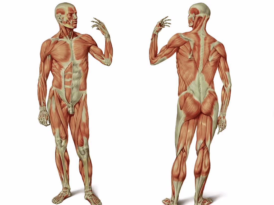 Cover image for Medical illustrations