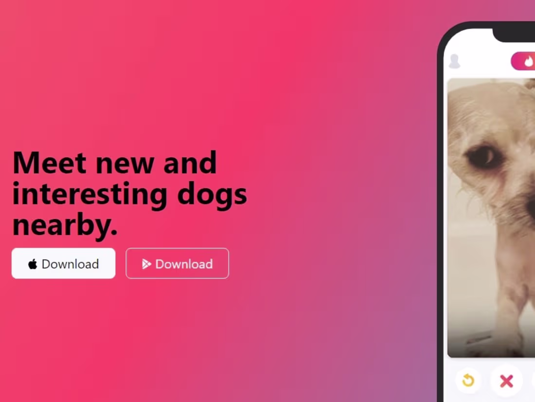 Cover image for Tin-Dog