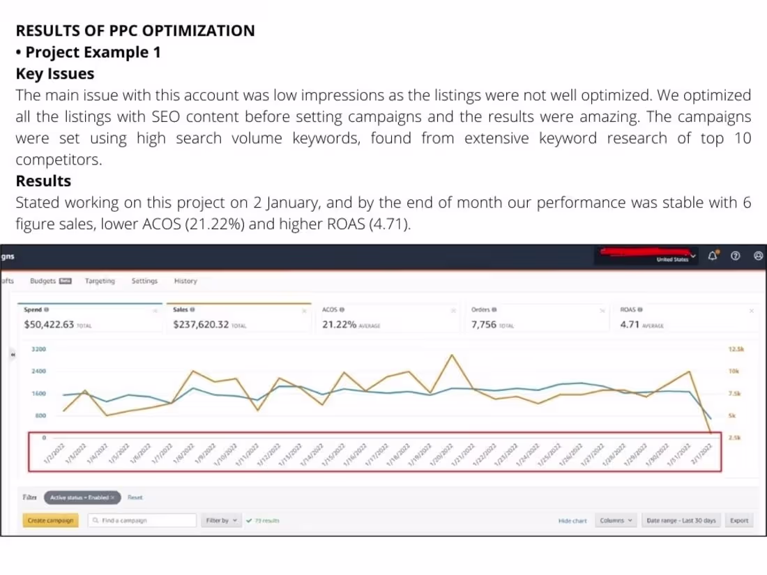 Cover image for Amazon PPC Expert | Organic, PPC & KPIs Performance Dashboard