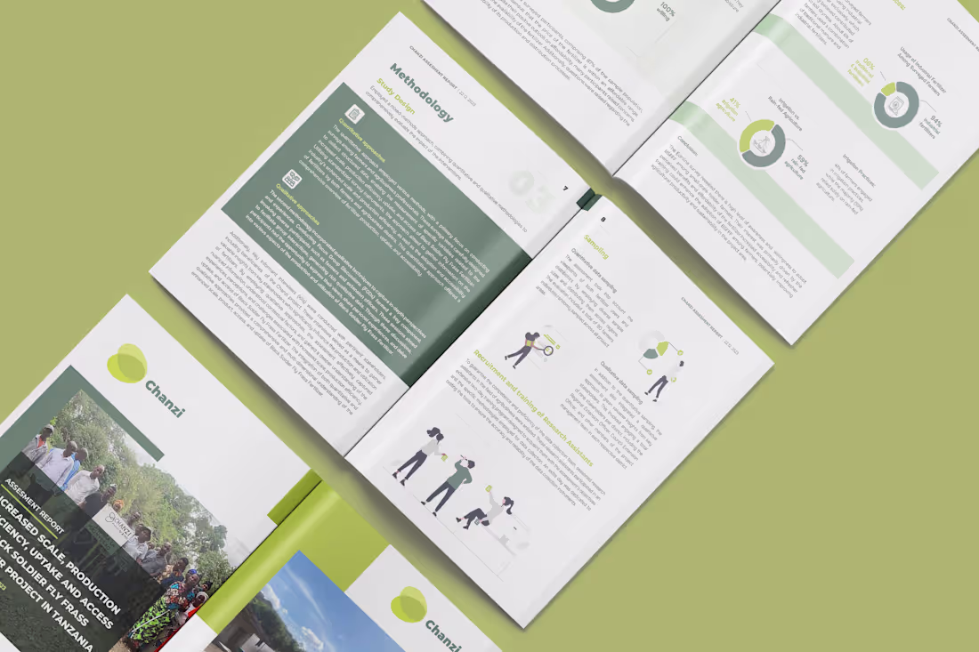 Cover image for (Adobe Indesign) - Document Branding Projects