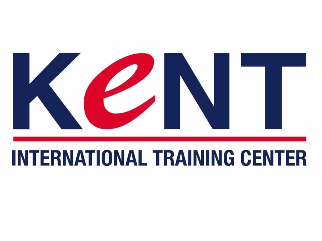 Cover image for CONSULTANT & ACADEMIC (2019-2020)