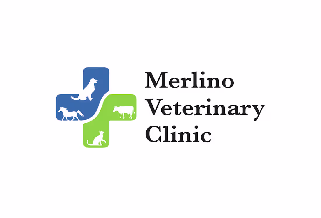 Cover image for Logo Design