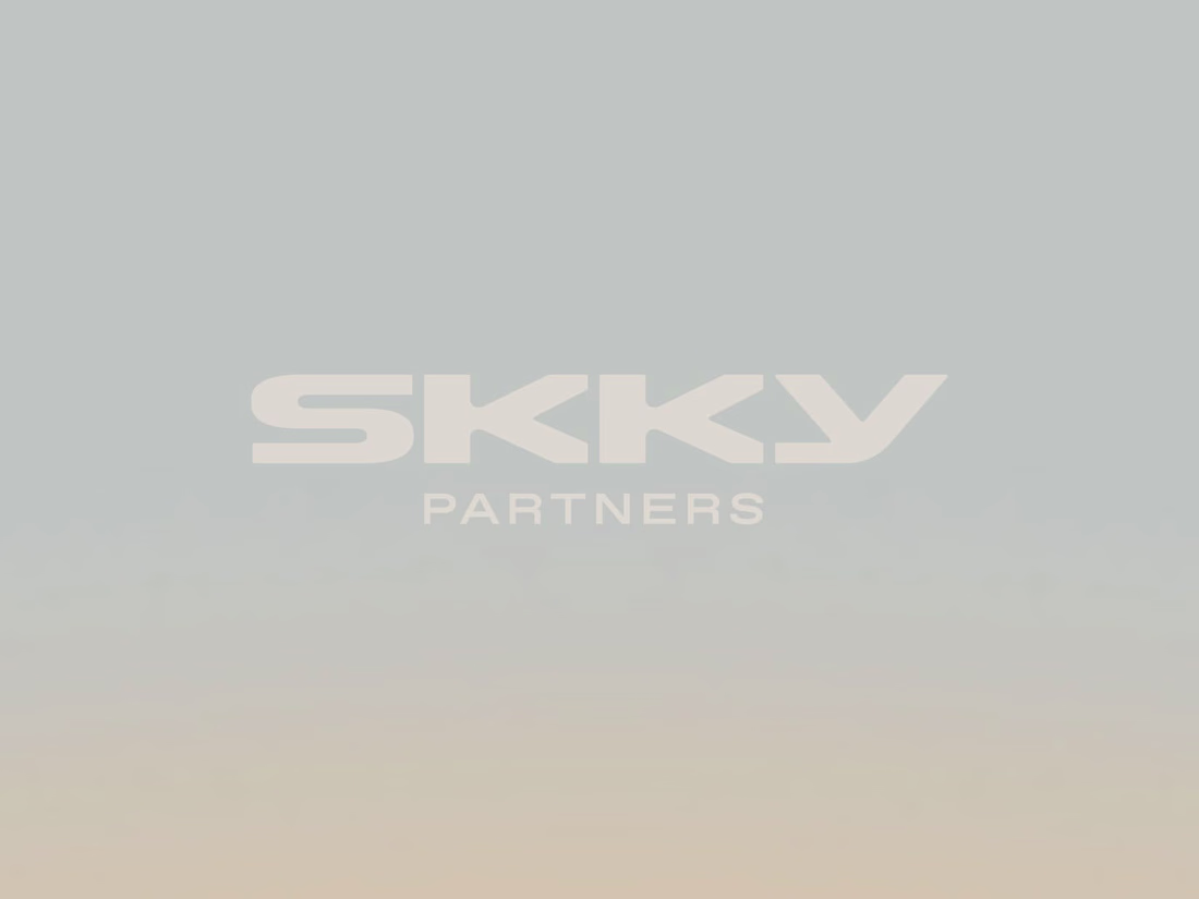 Cover image for SKKY Partners
