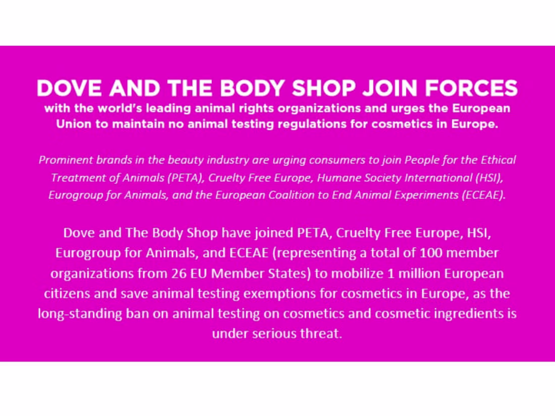 Cover image for The Body Shop PR Campaign Against Animal Testing- Content