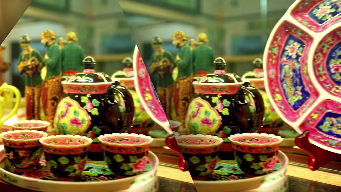 Cover image for SINAGAPORE VIGNETTE  for NDTV PRIME