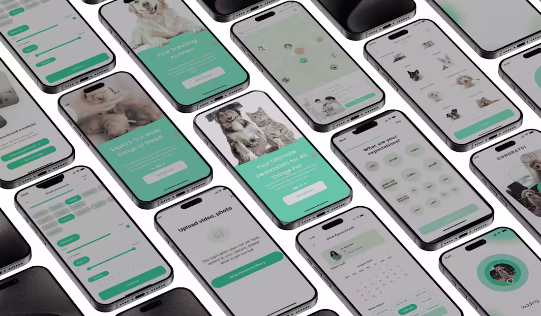 Cover image for Enhancing the Pet Care Experience with Smart Matching