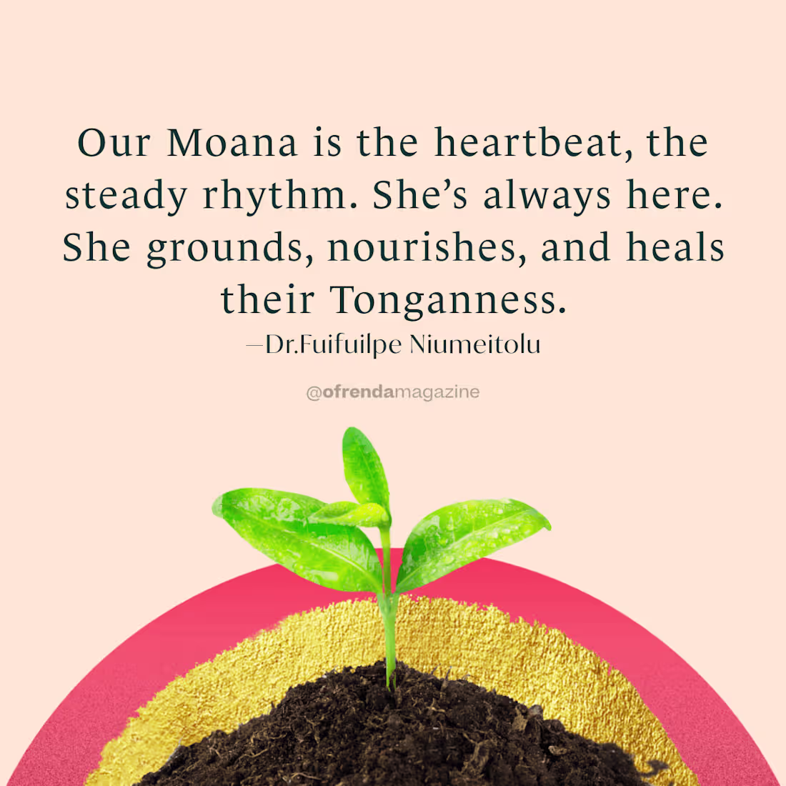 Cover image for Ofrenda Magazine, Social Media Management