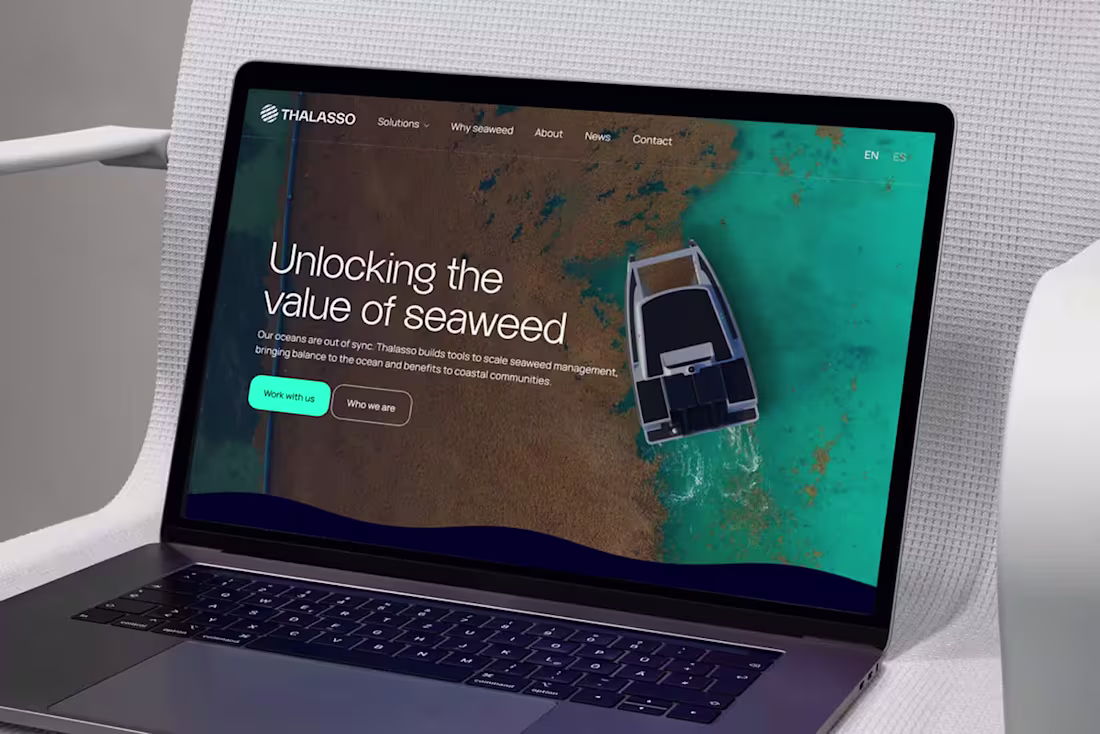 Cover image for Thalasso | Environmental