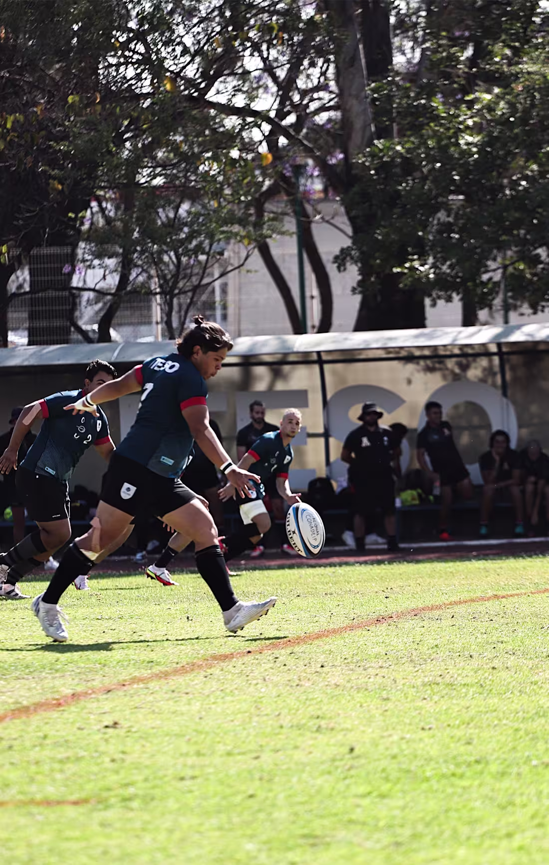 Cover image for FOTOGRAFÍA DEPORTIVA