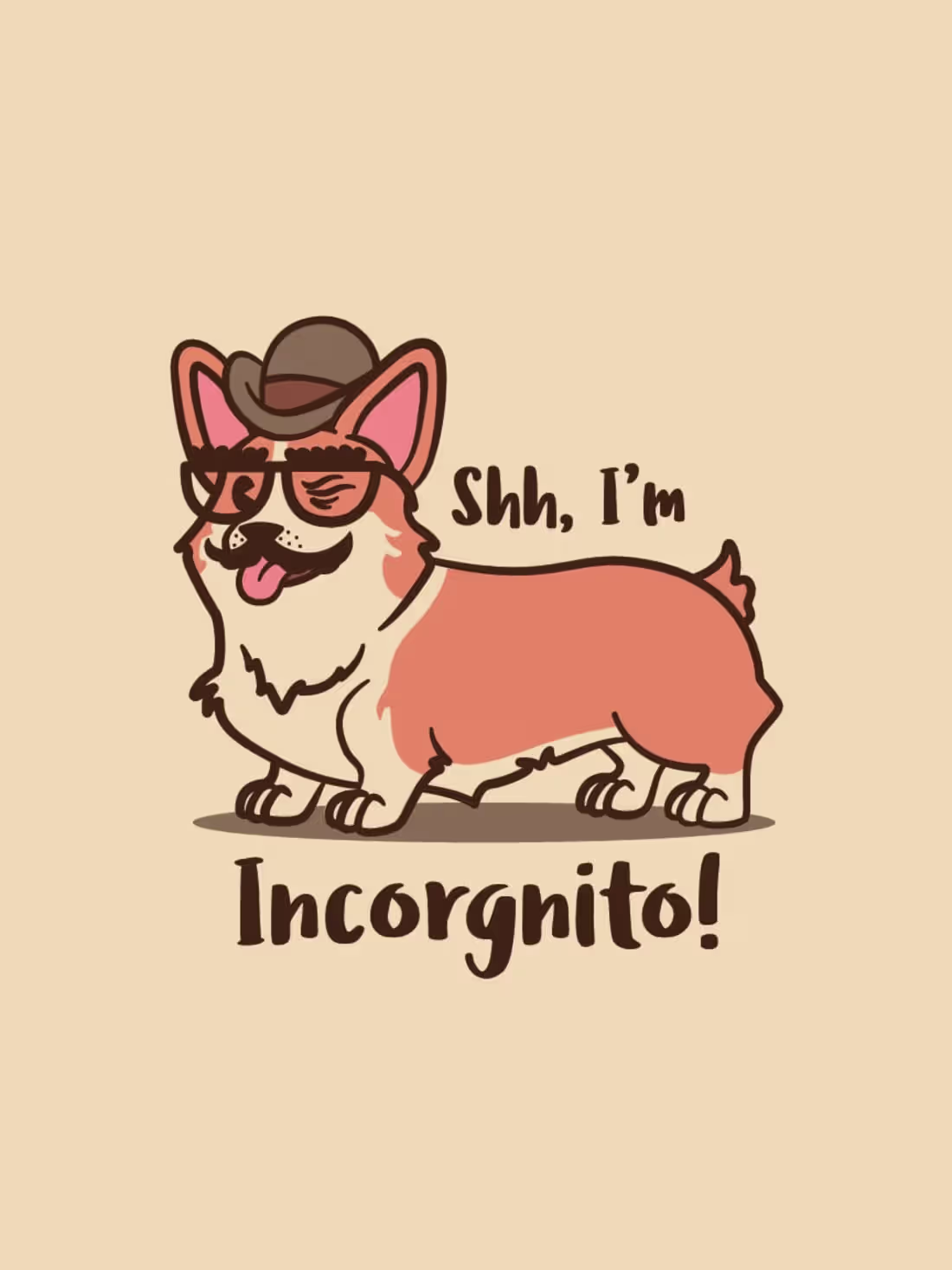 Cover image for Incorgnito