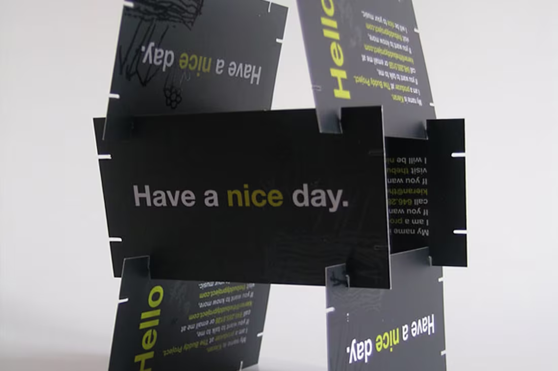 Cover image for The Buddy Project