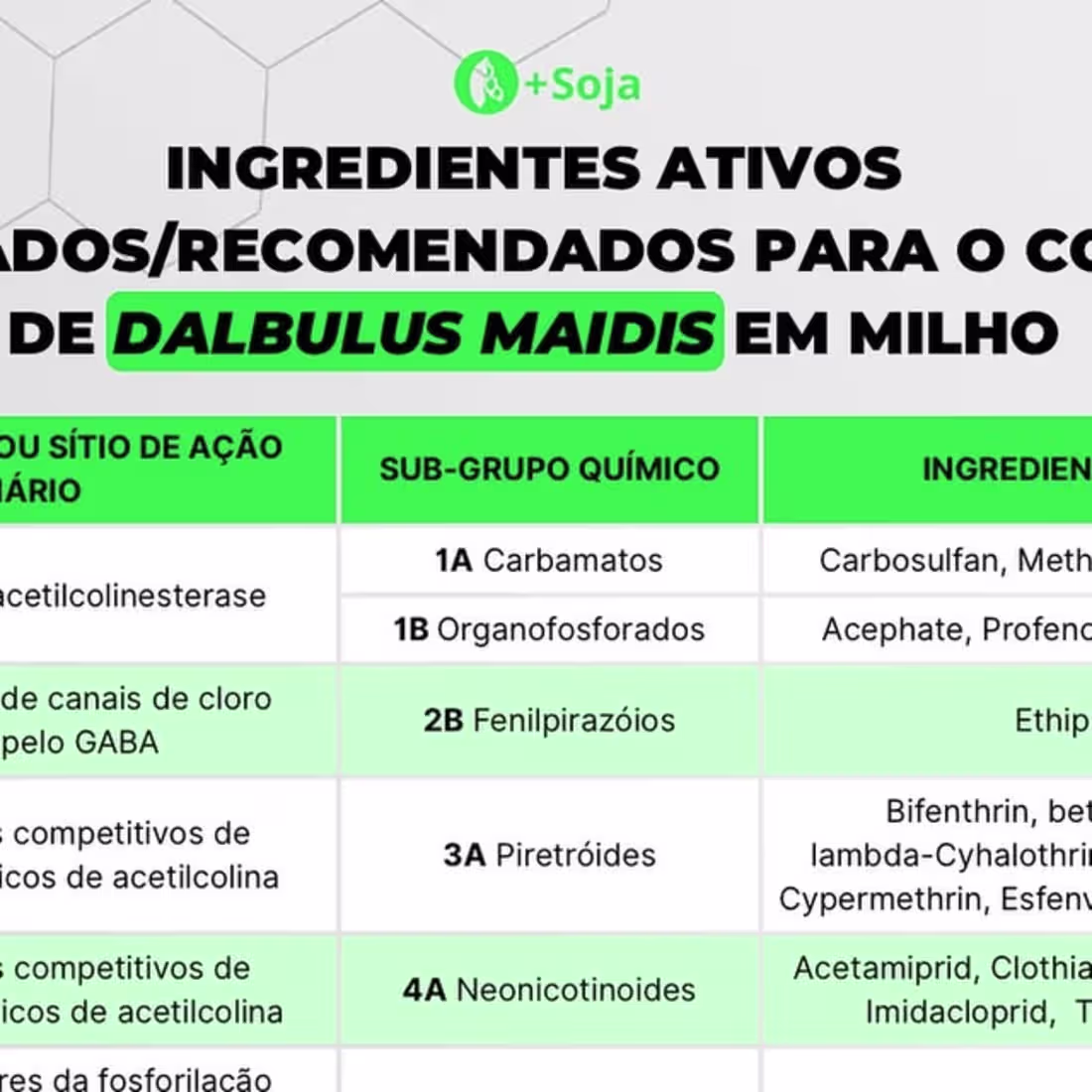 Cover image for Mais Soja on Instagram: “Quais os ingredientes ativos registrad…