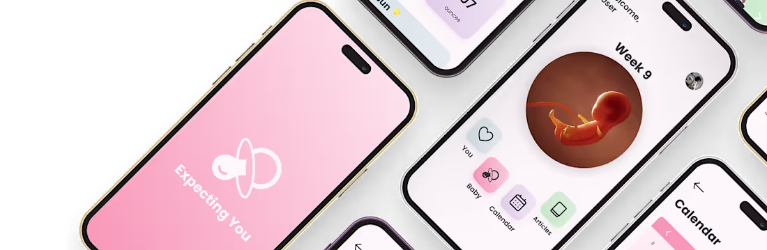 Cover image for Expecting You