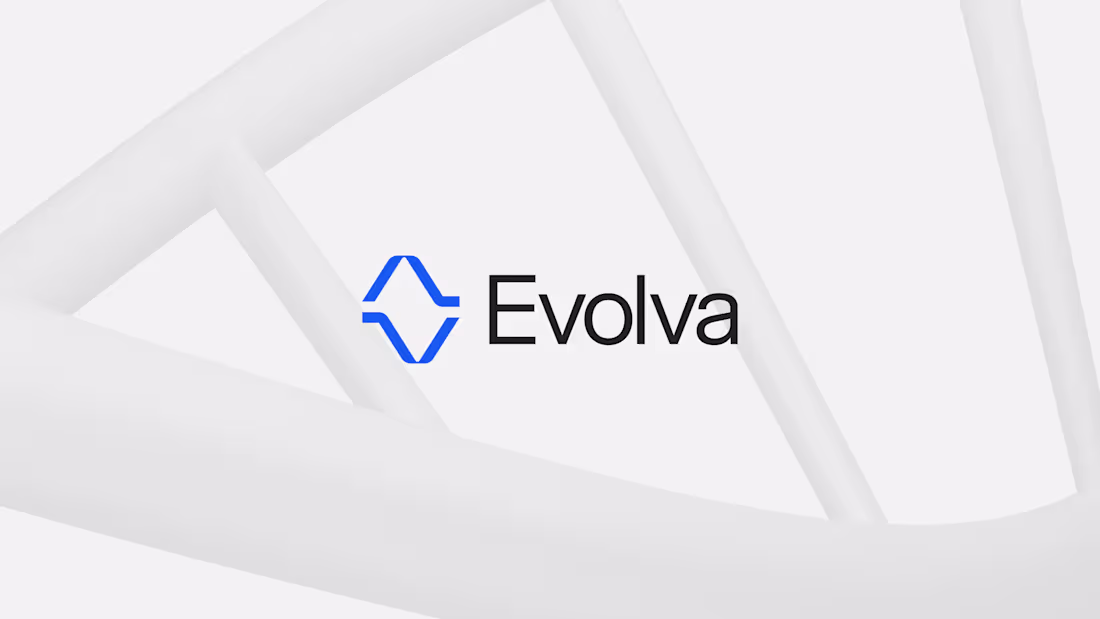 Cover image for Evolva branding project
