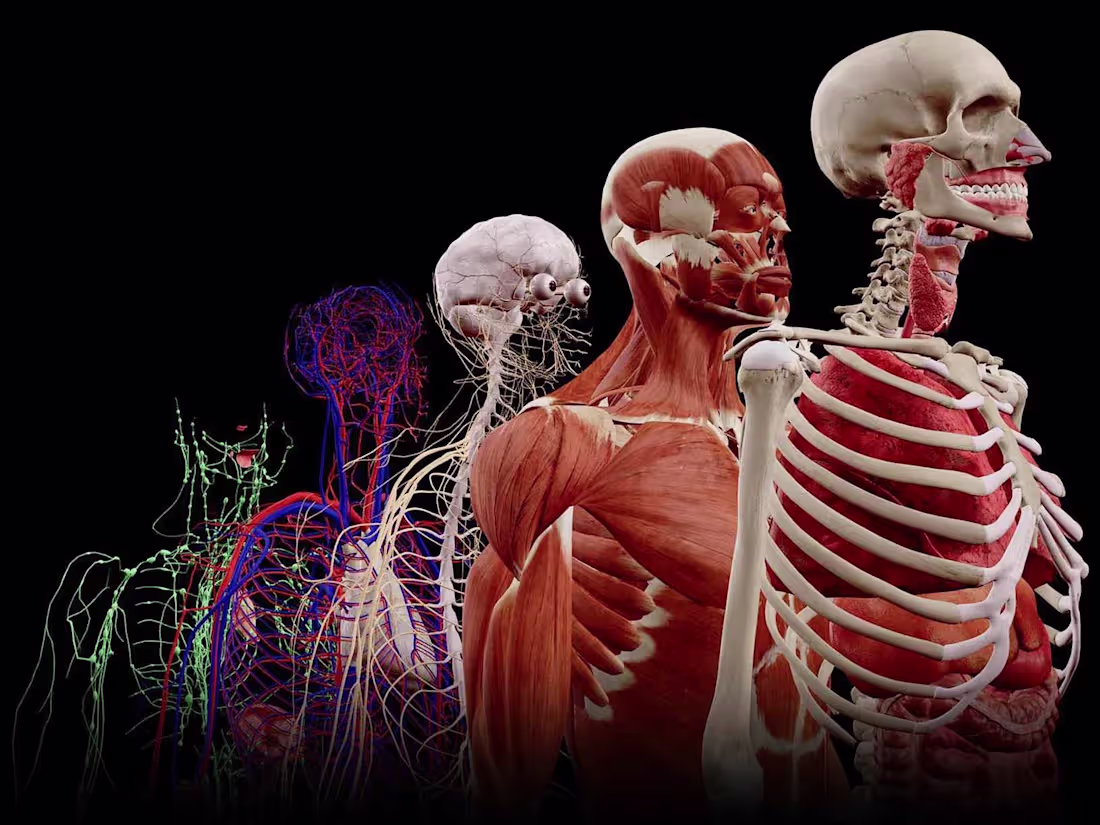 Cover image for Multiplayer VR Educational Software in Unreal Engine 5