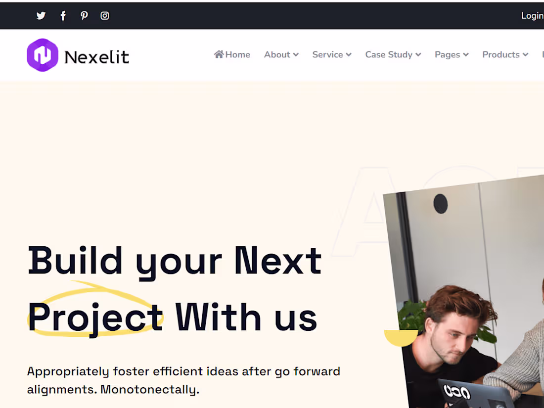 Cover image for Nexelit
