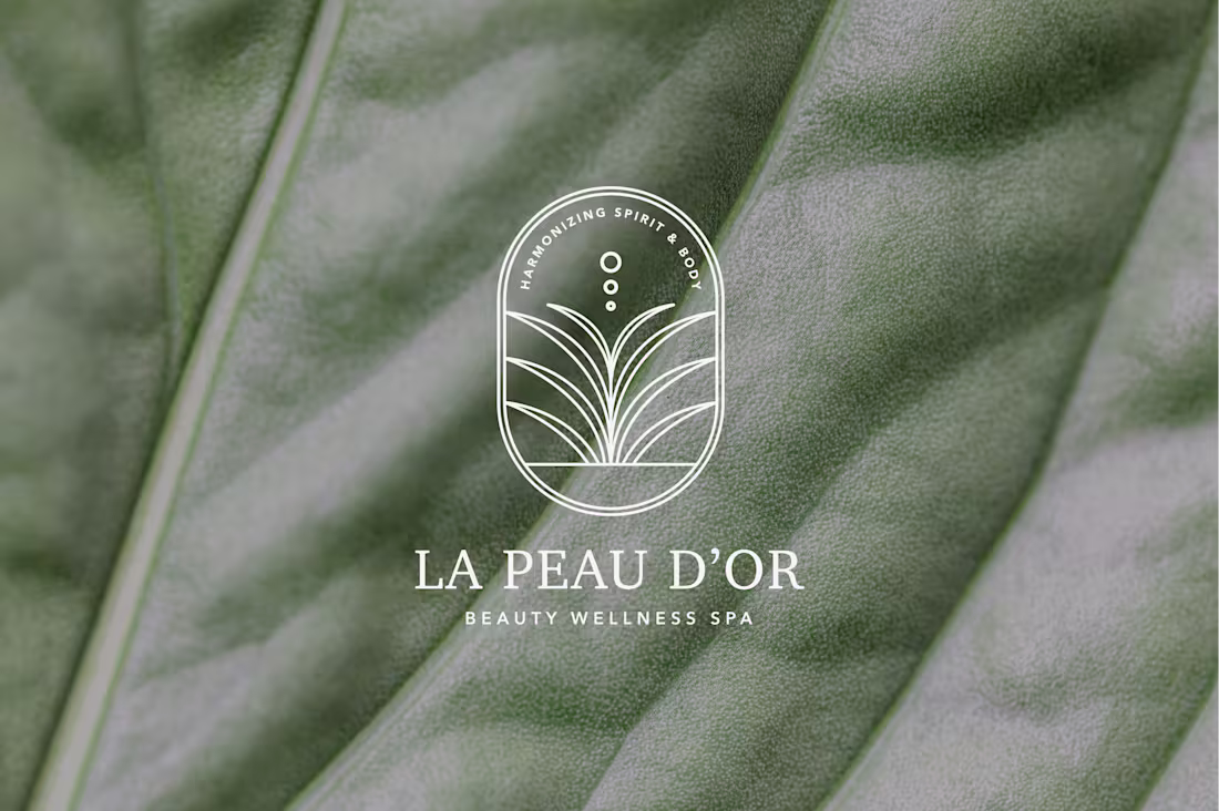 Cover image for La Peau D'or