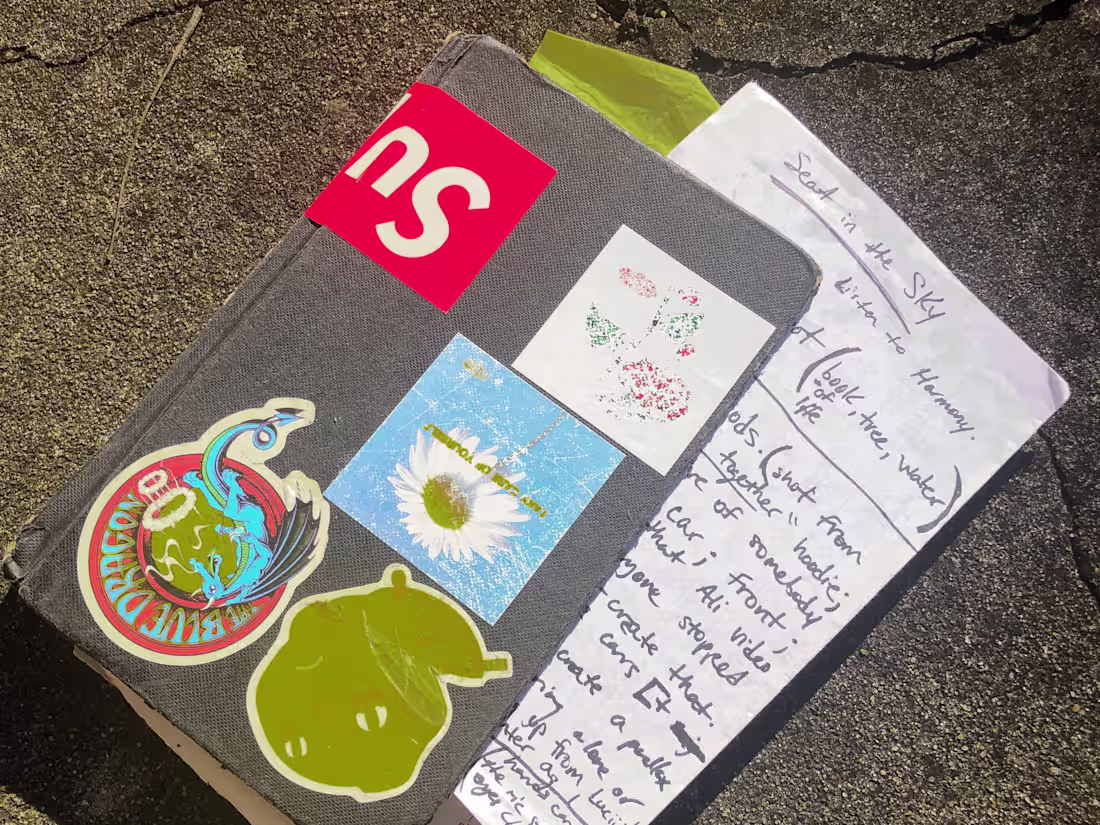 Cover image for FLY YOUNG: A Virtuous Life