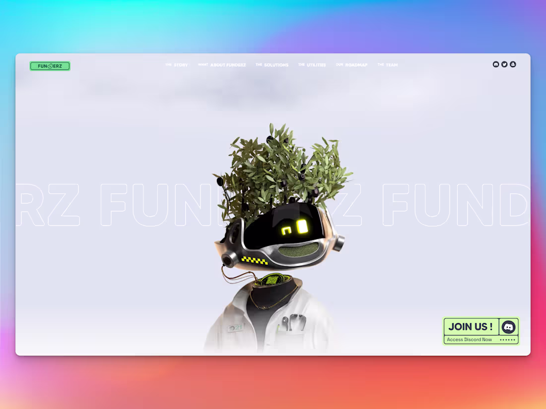 Cover image for Funderzz | Webflow Development
