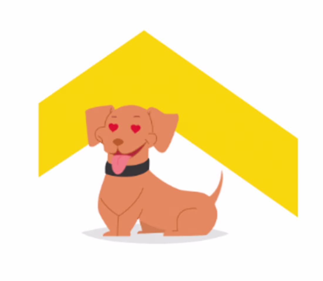 Cover image for Shack - UX Case Study