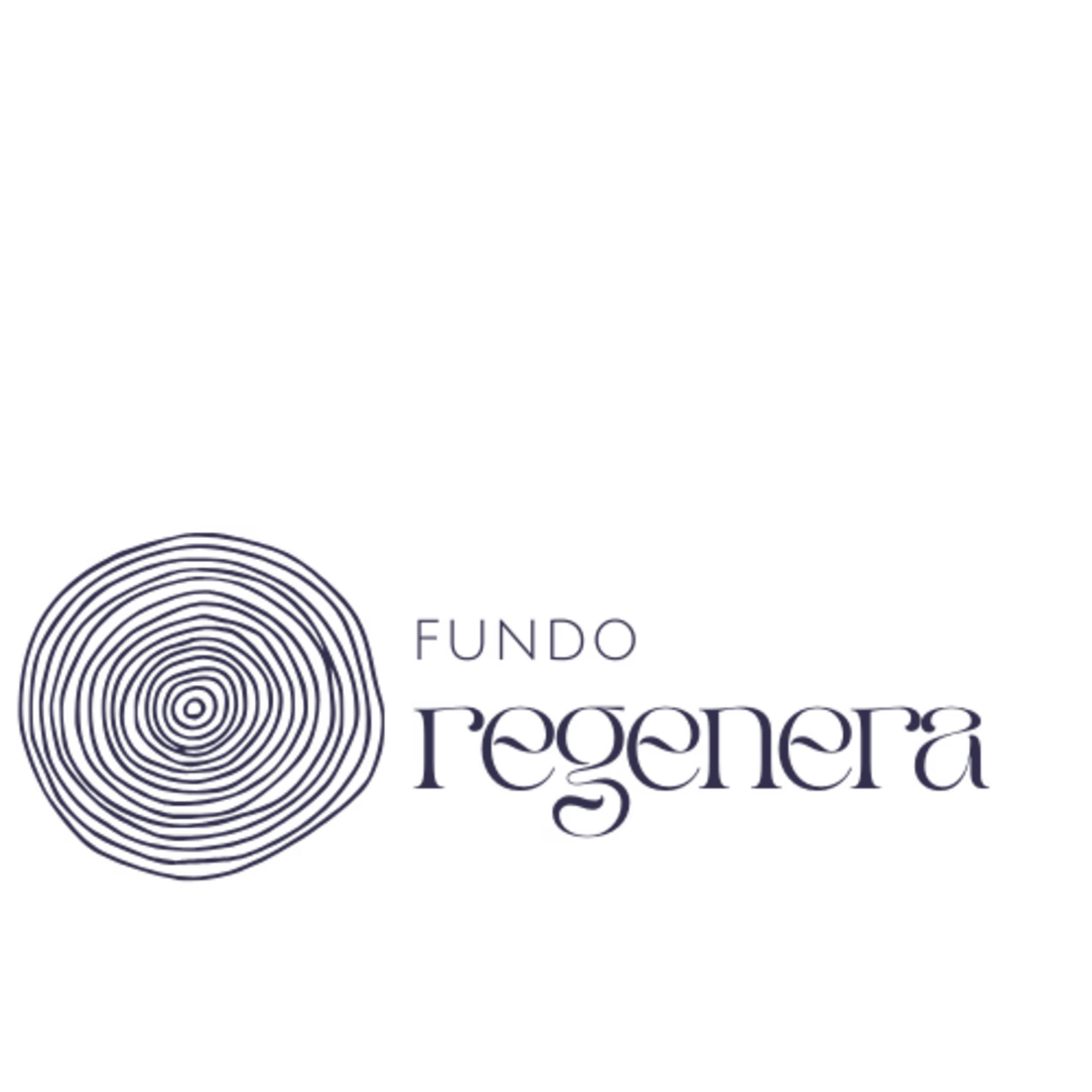 Cover image for Logo and Brand design for a Brazilian Found.