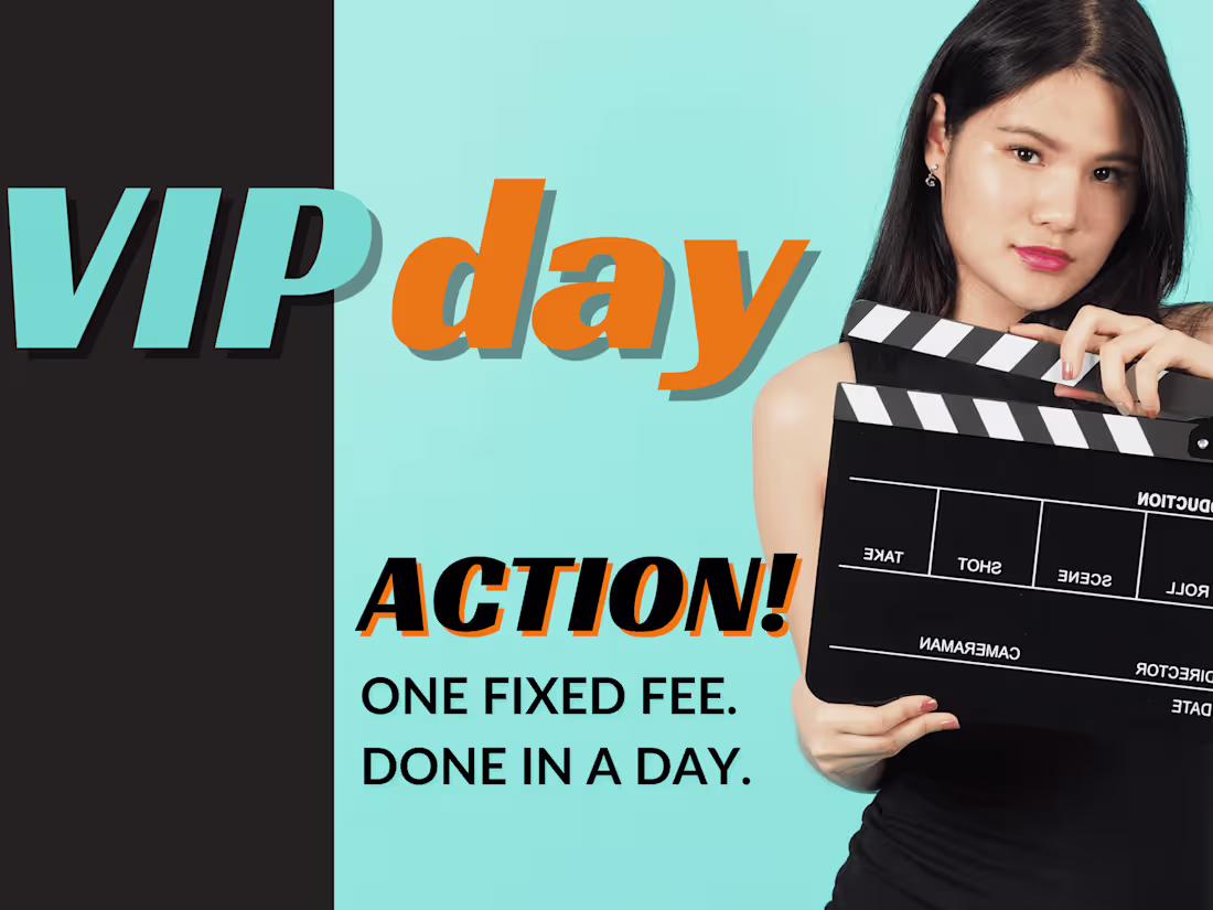 Cover image for VIP Day