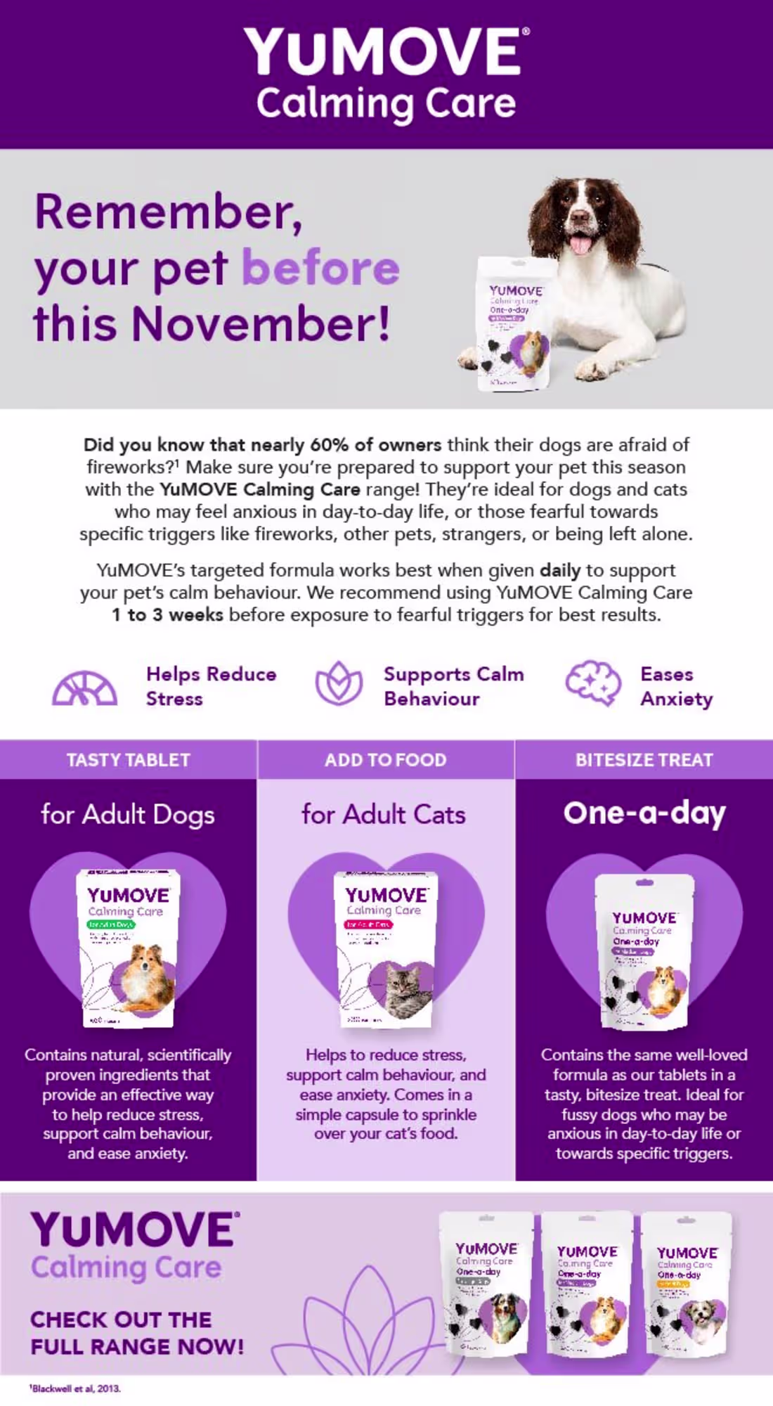 Cover image for Long Form Copy