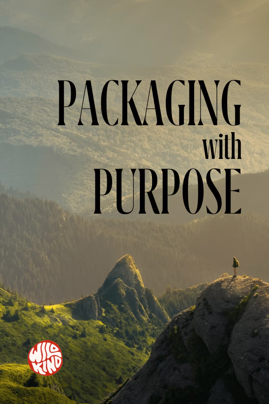 Cover image for Community engagement (2 accounts) and 28 social graphics