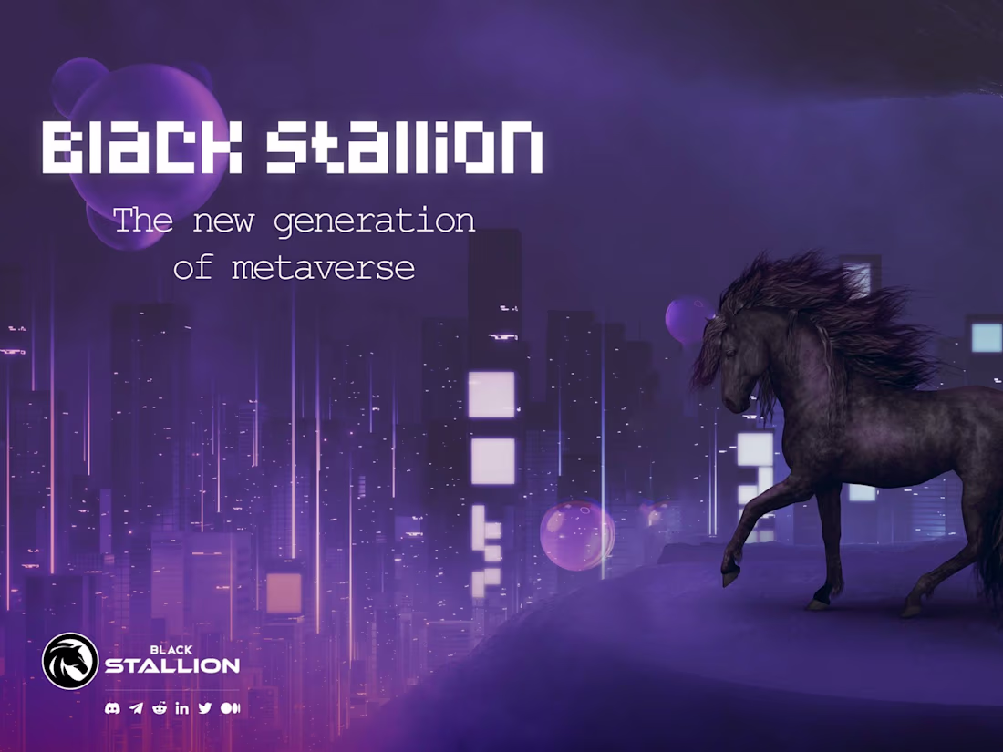 Cover image for Black Stallion