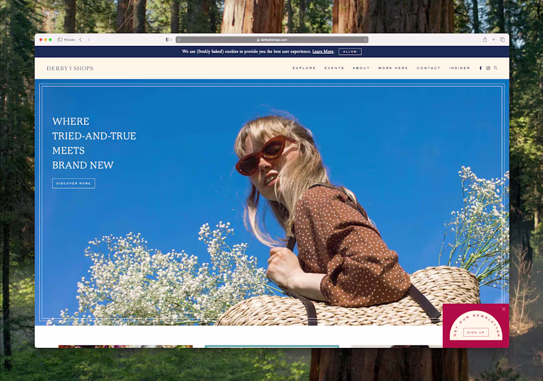 Cover image for Custom WordPress theme for Derby Street Shops