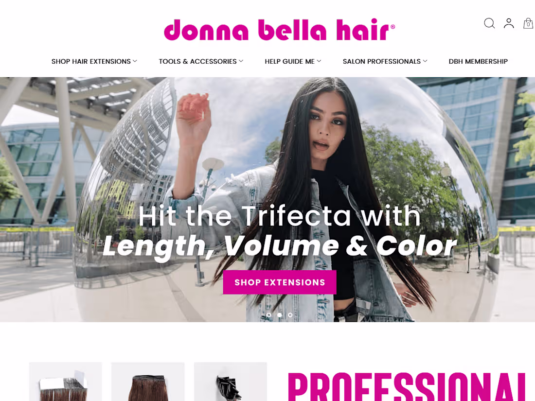 Cover image for Webplanex and Donna Bella Hair