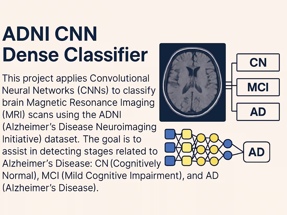 Cover image for ADNI CNN Dense Classifier