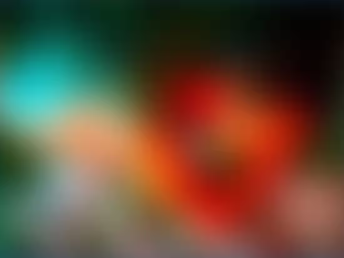 Cover image for Majestic Casual