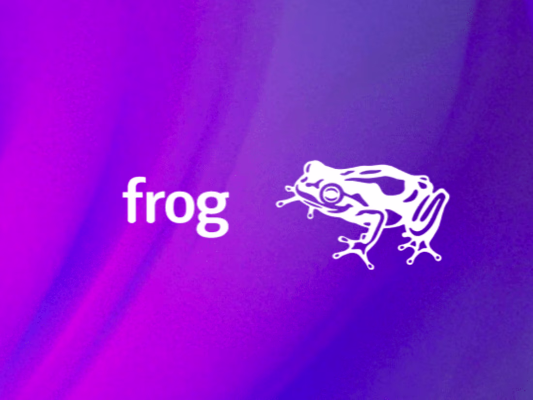Cover image for frog design — Mariam Khan