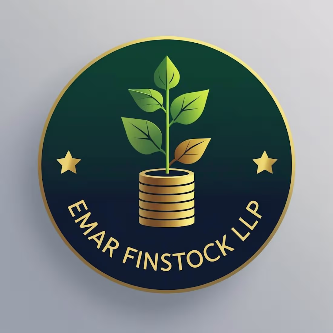 Cover image for Emar Finstock LLP