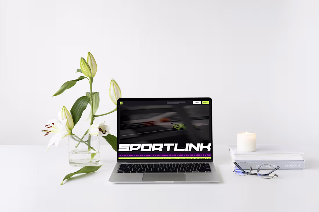 Cover image for SportLink